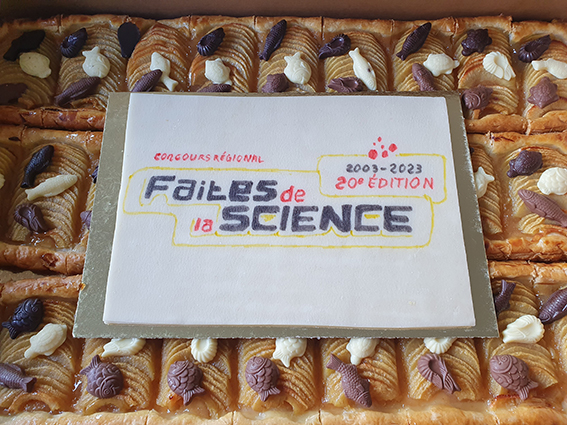 Gâteaux 20 ans concours FDS