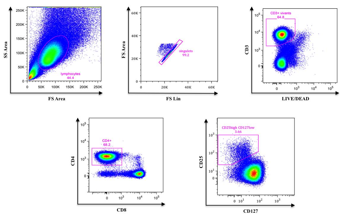 Analyse de lymphocytes T régulateur (Treg) humain du sang périphérique (sextuple marquage)