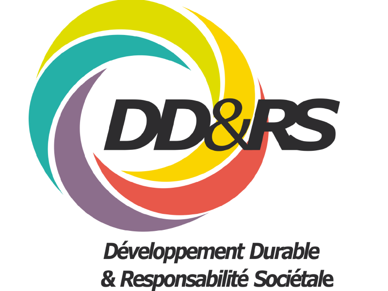 logo DD&RS