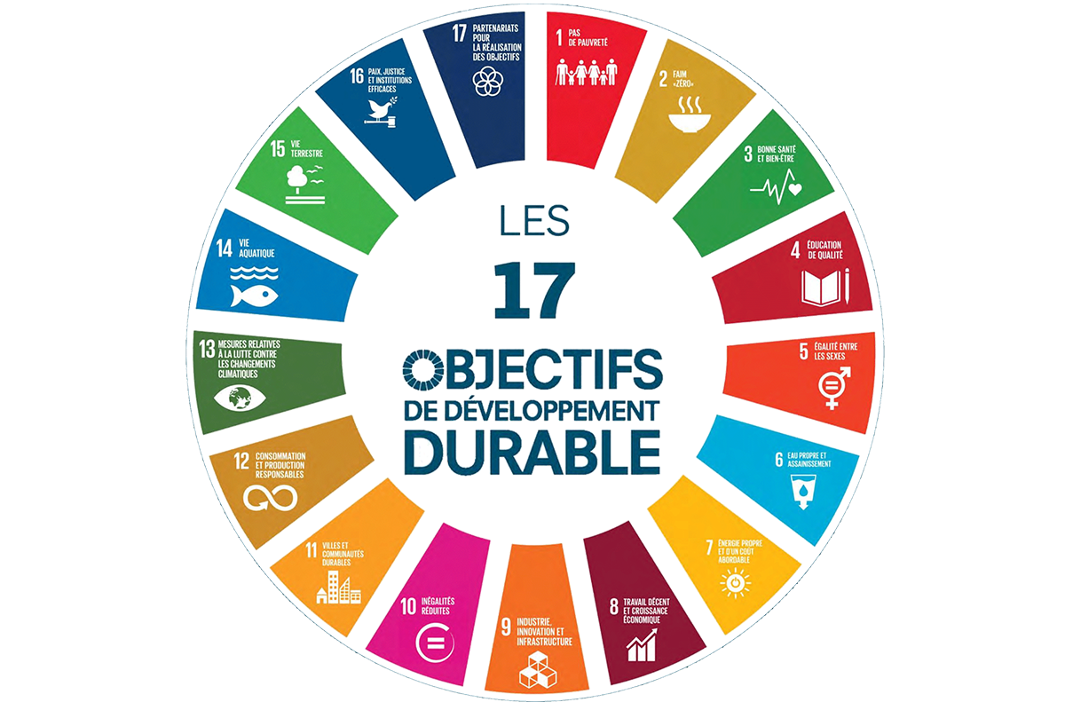 Les 17 ODD ONU