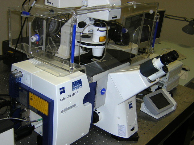 Microscope confocal Zeiss LSM 510 Meta sur Zeiss Axio Observer Z.1 avec Chambre thermostatée et platine motorisée.