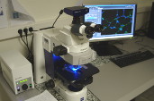 Microscope Zeiss Axioimager M2