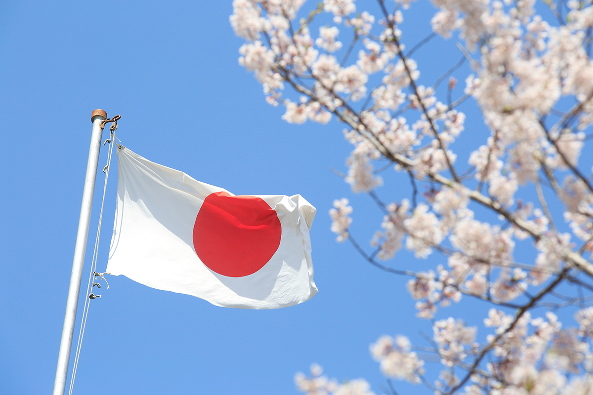 Drapeau et cerisier du Japon