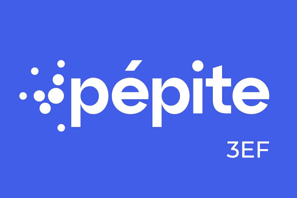 Logo du PEPITE 3EF