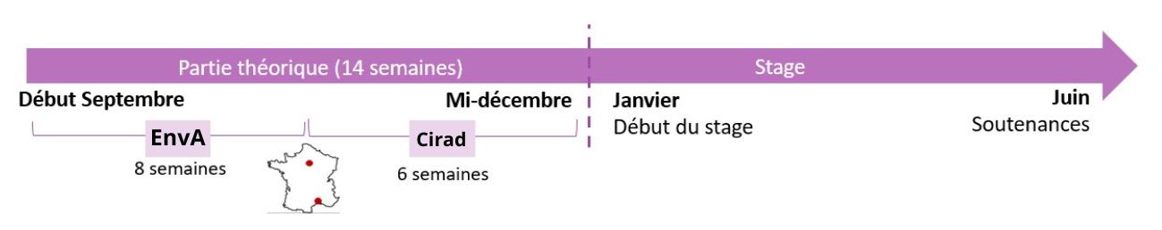 Organisation de l'année - M2 ESMIHA