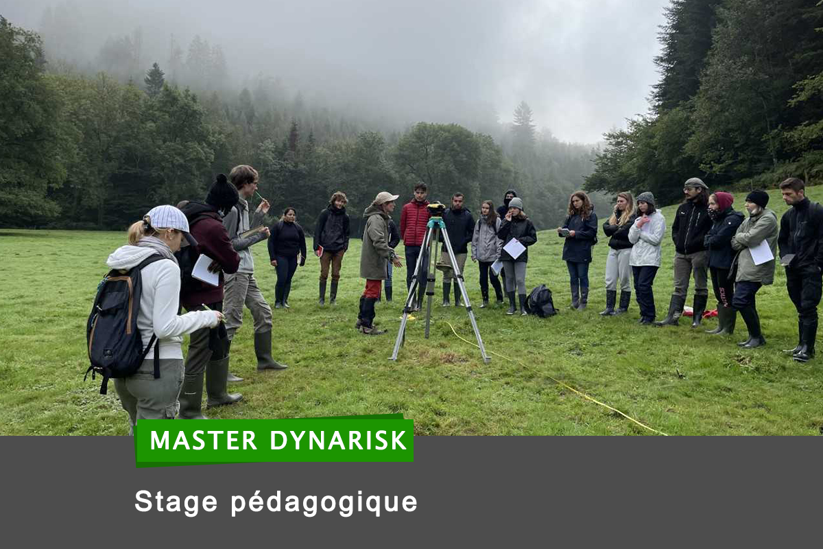 stage master dynarisk 2022